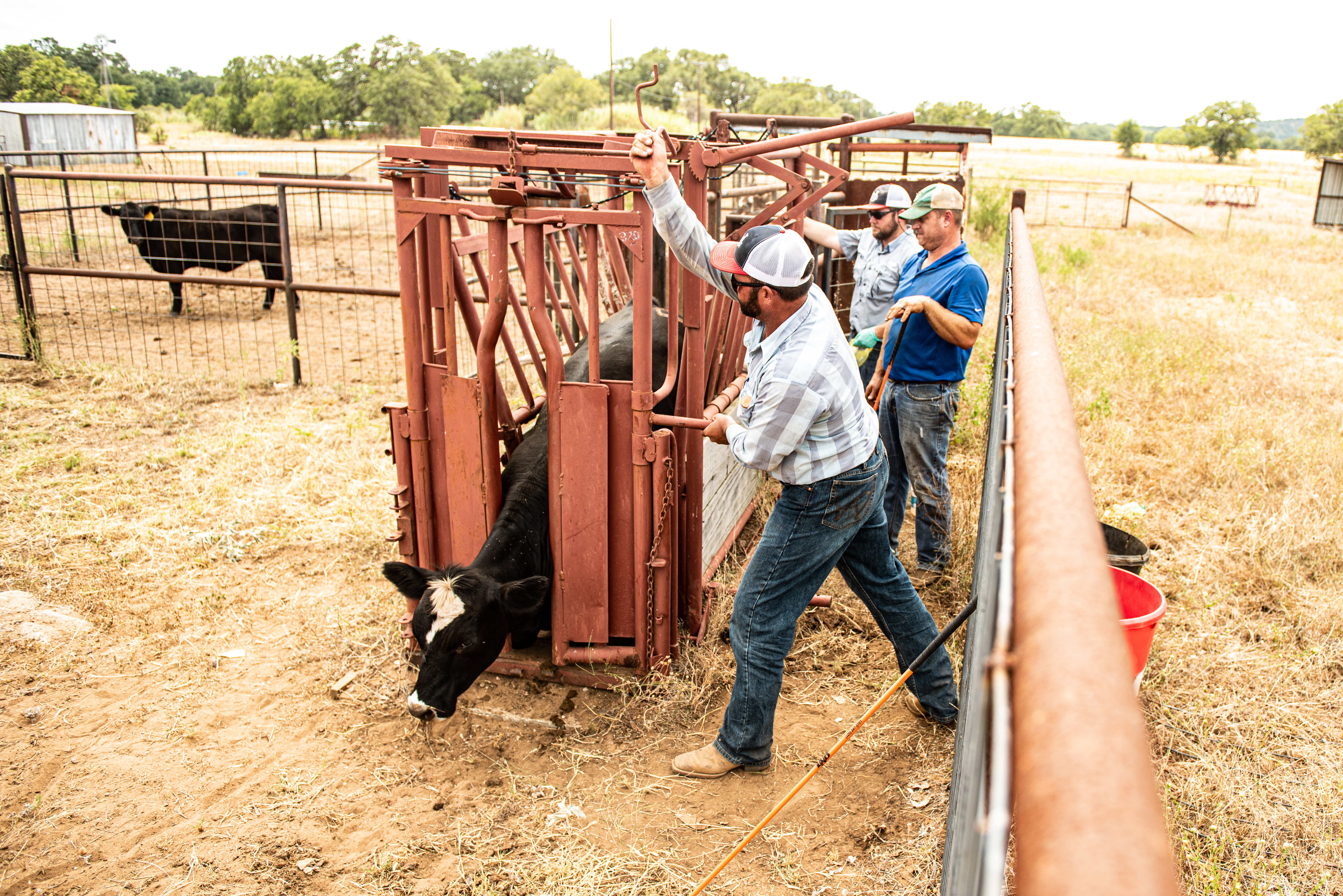 20190804_Texas-270