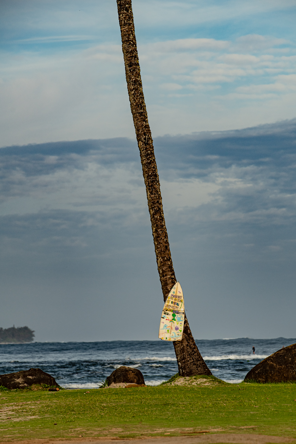 20230317_Kauai-505